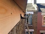 Fascia and Gutter Replacement