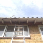 External Gutter Cleaning
