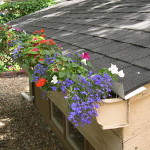 Gutter Garden - Scrappydio Gutter Cleaning
