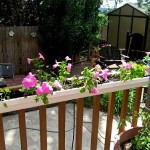 Gutter_Garden_Scrappydio_Gutter_Cleaning