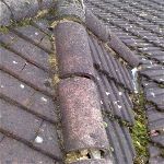 Roof Repair / Cement Work