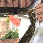Scrappydio Gutter Cleaning