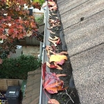 Scrappydio Gutter Cleaning