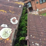 Scrappydio Gutter Cleaning