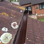 Scrappydio Gutter Cleaning