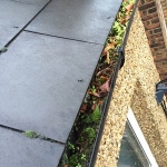 Scrappydio Gutter Cleaning